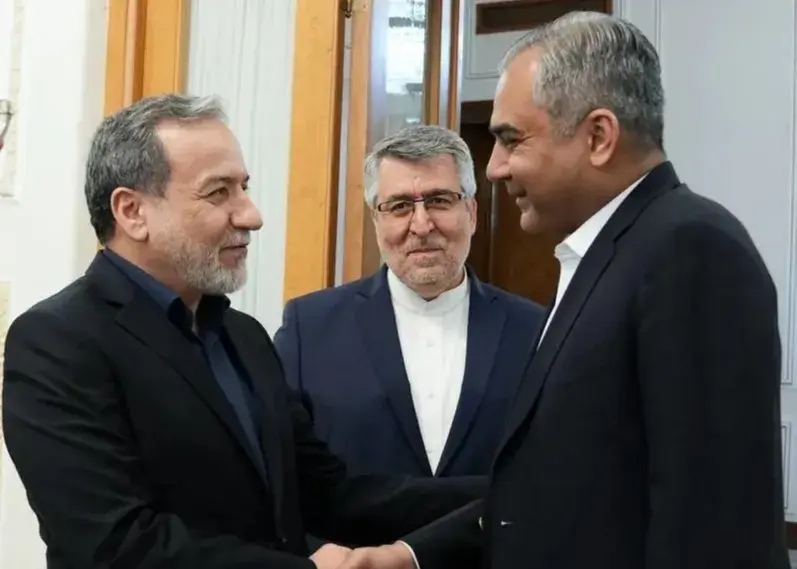 وزیر کشور پاکستان بار دیگر با عراقچی دیدار کرد وزیر کشور پاکستان بار دیگر با عراقچی دیدار کرد