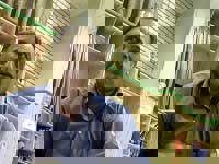 رحیمی:کمیته استیناف قانون‌شکنی‌ می‌کند