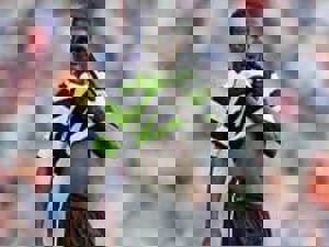 دالگلیش و تلاش برای جذب درنته