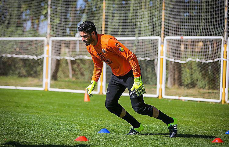 گردان: به زودی تیمم را انتخاب میکنم