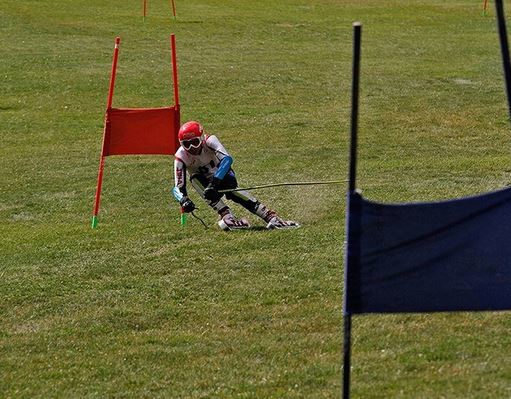 سرمربی تیم ملی اسکی روی چمن استعفا کرد