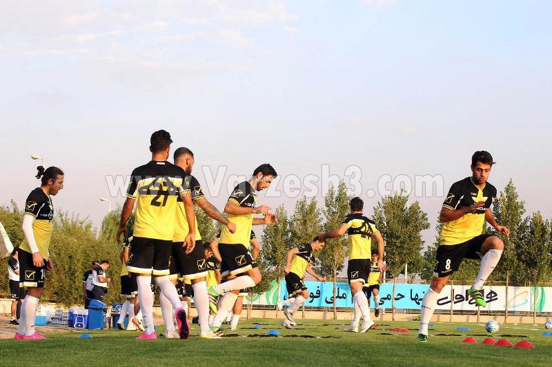 استقبال ویژه از ستارههای هالیوودی تیمملی