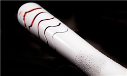 نام ۱۰ رشته پارالمپیکی تغییر می‌کند