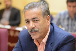 نمی دانم نویدکیا می خواهد مربیگری کند یا نه