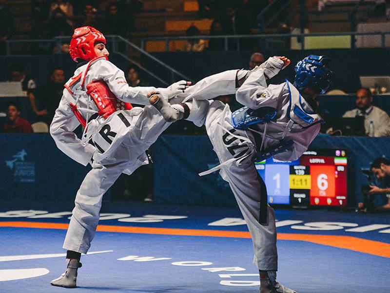 تکواندوی ارتشهای جهان؛ صدری طلایی شد