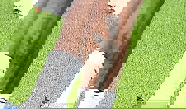 1306057