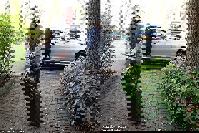 1354433