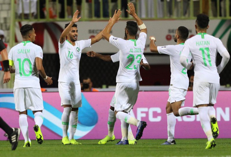 لبنان گربه سیاه کوچک عربستان