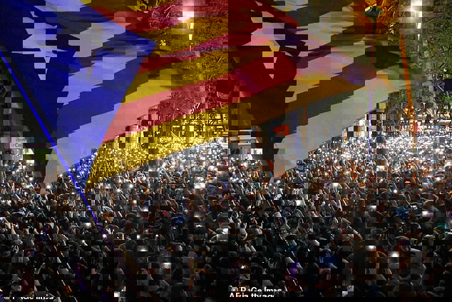 1443806