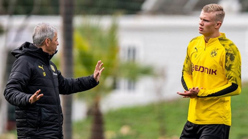 فاوره: دیگر هیچکس جلودار هالند نیست!