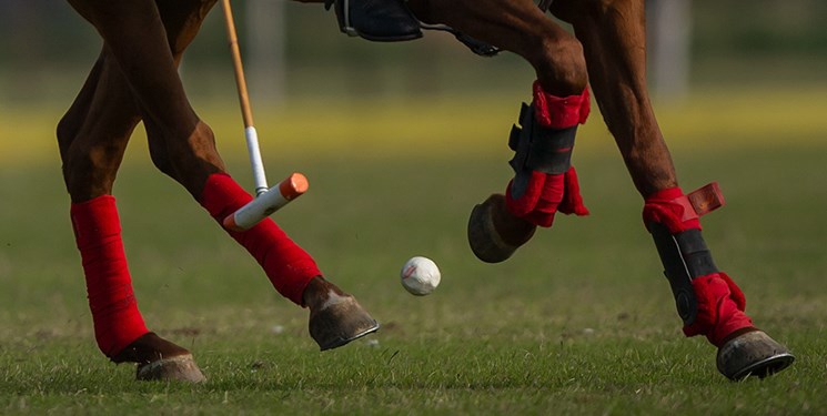 واکنش رئیس فدراسیون چوگان در مجمع عمومی