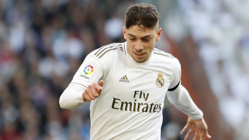 فده والورده؛ پرنده کوچک، آماده اوجگیری