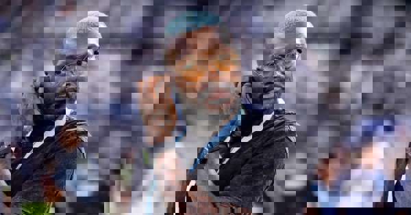 سیسه: حاضرم مجانی برای تیمهای فرانسوی بازی کنم