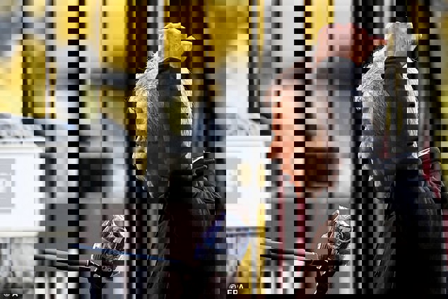 لوسین فاوره: نمی توانم این شکست را باور کنم