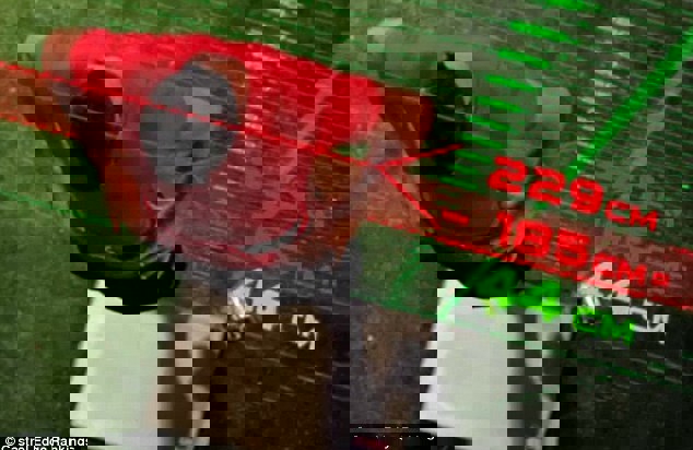 1531567