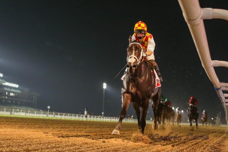 پایان هفته چهارم مسابقات اسب دوانی کشور در اهواز