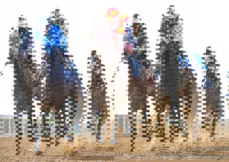 قهرمانی "گالوانایز" در میدان اسبدوانی شارجه