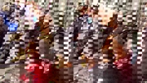 فریاد راموس از روی سکو؛ پنالتی از این واضح تر؟