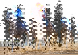 قهرمان جایزه بزرگ پرش با اسب معرفی شد