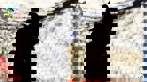 سرمربیگری مسعود در سایه محمود (عکس)