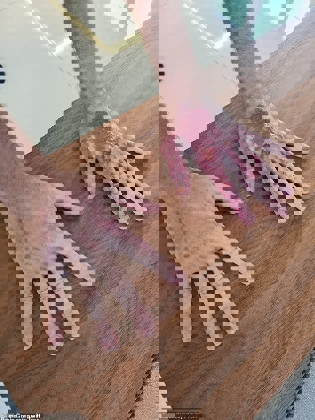 1562205