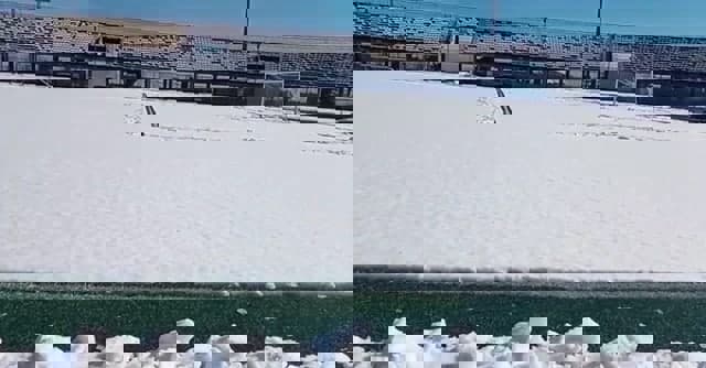 1564902