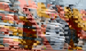 حمله تند آذری به دو منتقد شناخته شده نکونام!