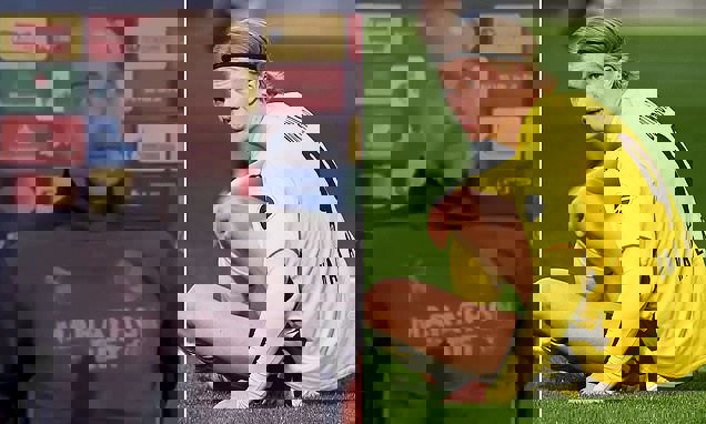 گواردیولا: یک نابینا هم تواناییهای هالند را میفهمد