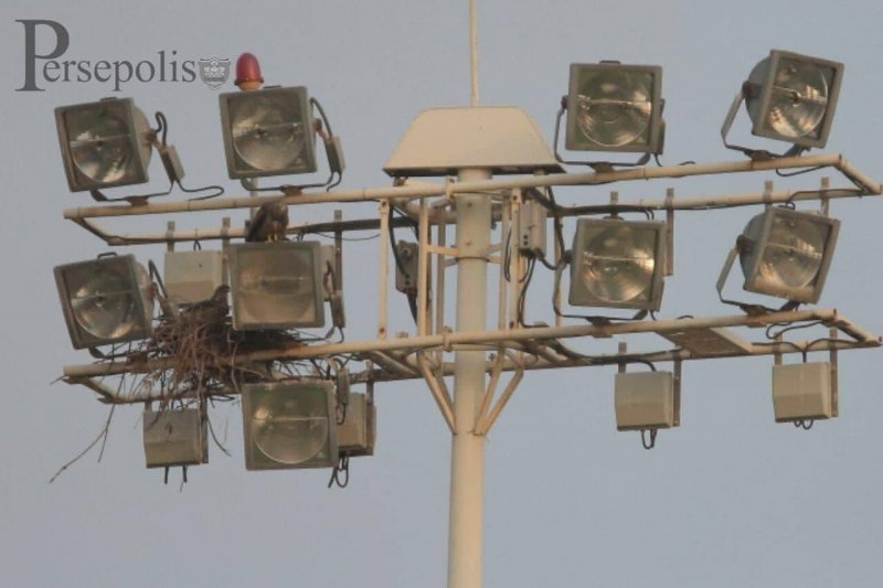 ماجرای عجیب پروژکتورهای زمین تمرین پرسپولیس