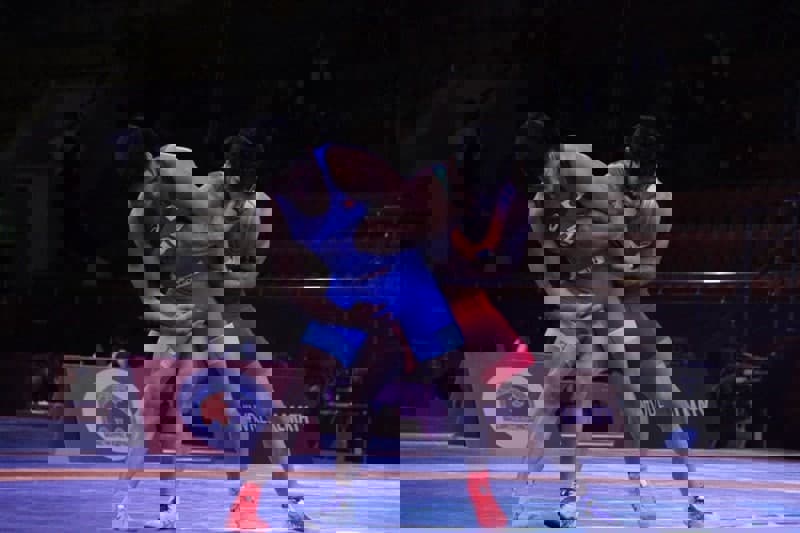 1591054