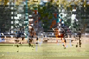 تابلوی ورود ممنوع برای خانواده چوگان!