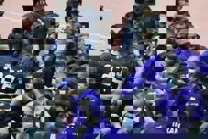 آلکنو، سربازان جمعه را معرفی کرد