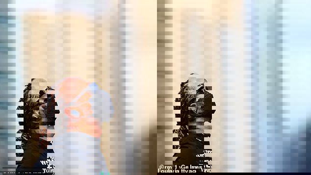 عذرخواهی همیلتون: شرمنده همتیمیهایم هستم