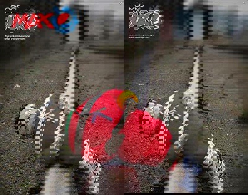 1612618