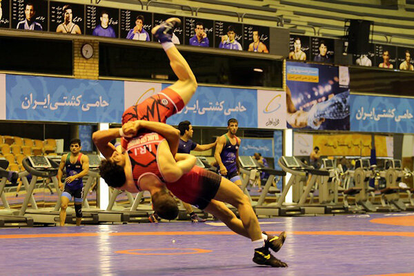 سونامی کرونا در جمع فرنگیکاران جوان