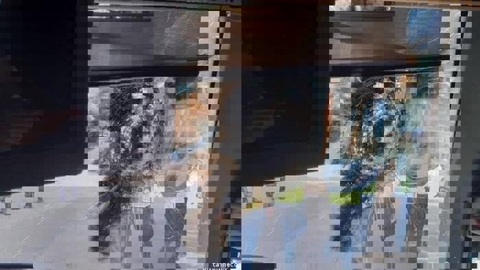 کمیته انضباطی و رای علیه مهاجمان اتوبوس پرسپولیس