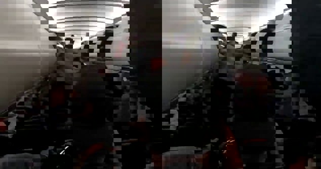 1619069
