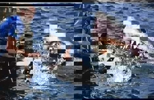 کیهلینی-ساکا؛ خطایی که اینترنت را فتح کرد!