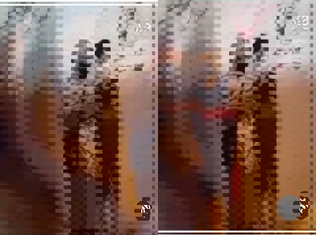 1623866