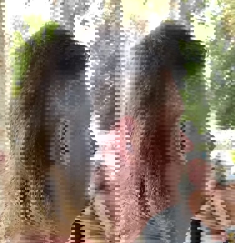 1629194