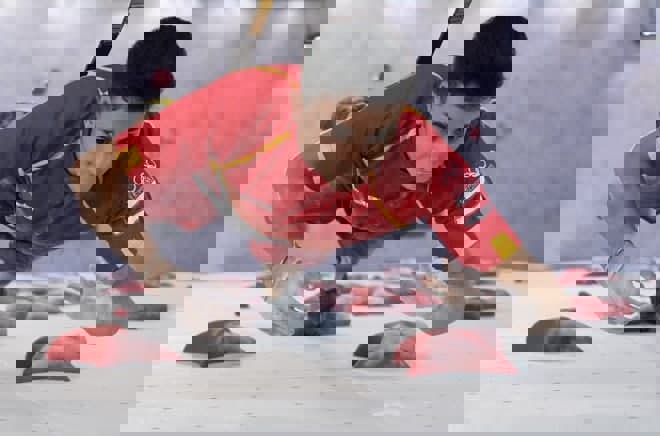 1631456