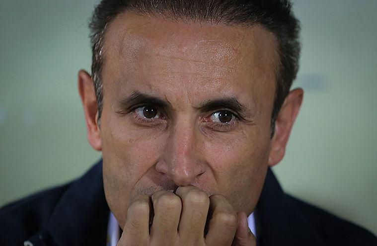 گلمحمدی و فرصت ویژه برای خرید دو ستاره