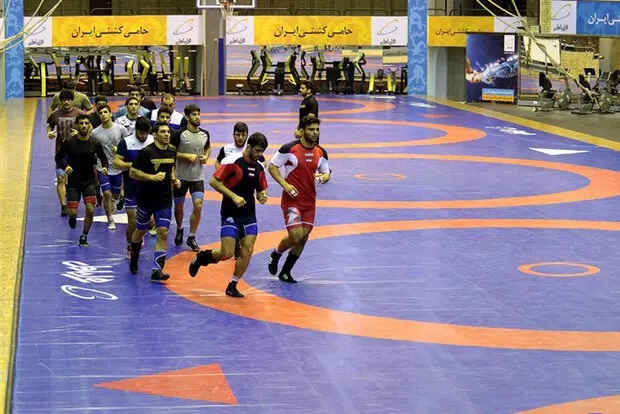 سفیر نروژ با رئیس فدراسیون کشتی کشورمان دیدار کرد