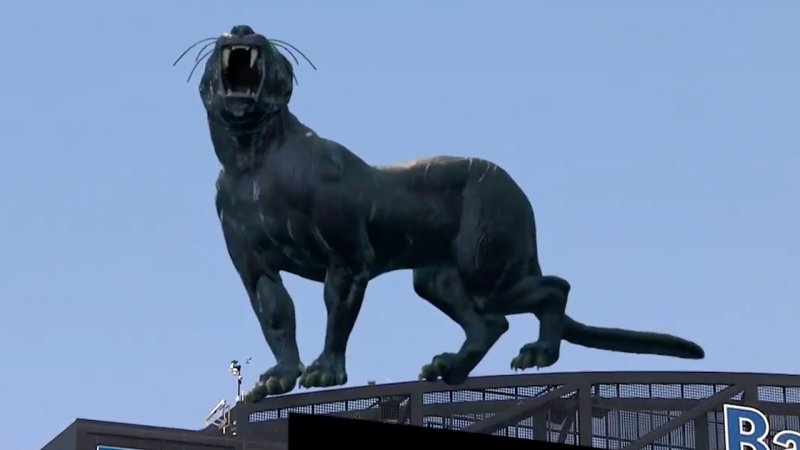 پای پلنگها هم به استادیوم باز شد! (عکس)