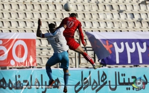 گربه سیاه پیکان در تبریز زمین گیر شد
