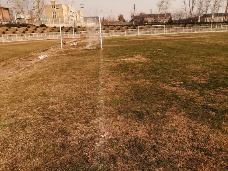 اقدام مدیران استقلال برای ترمیم چمن آرارات