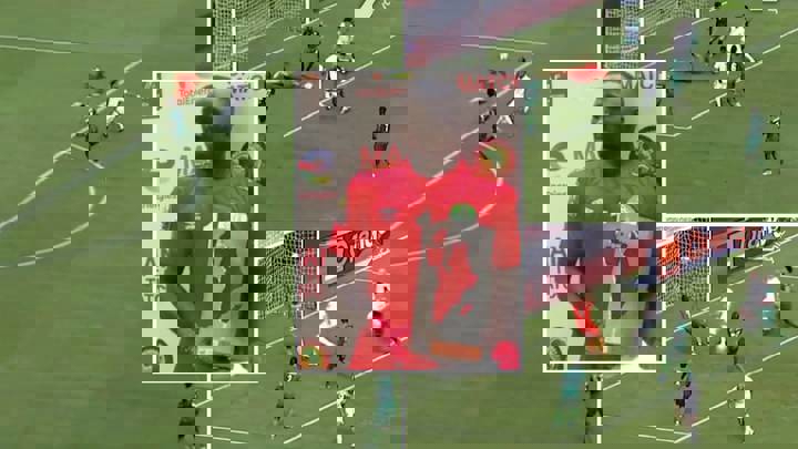 پلنگها اینطور وقتها گریه میکنند! (عکس)