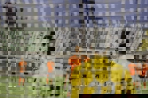 جادو و جنبل سرمربی مس ساخته حسودان است