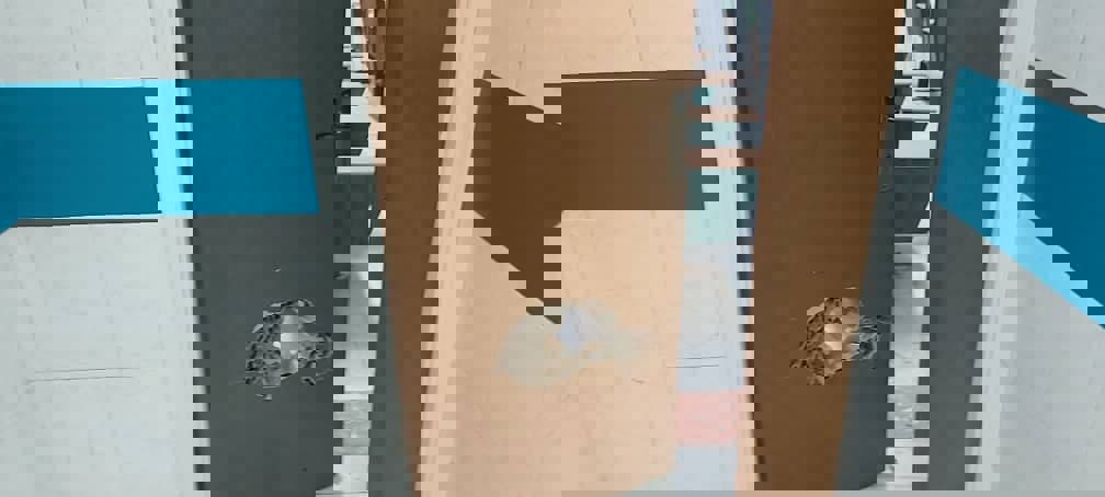 1699604
