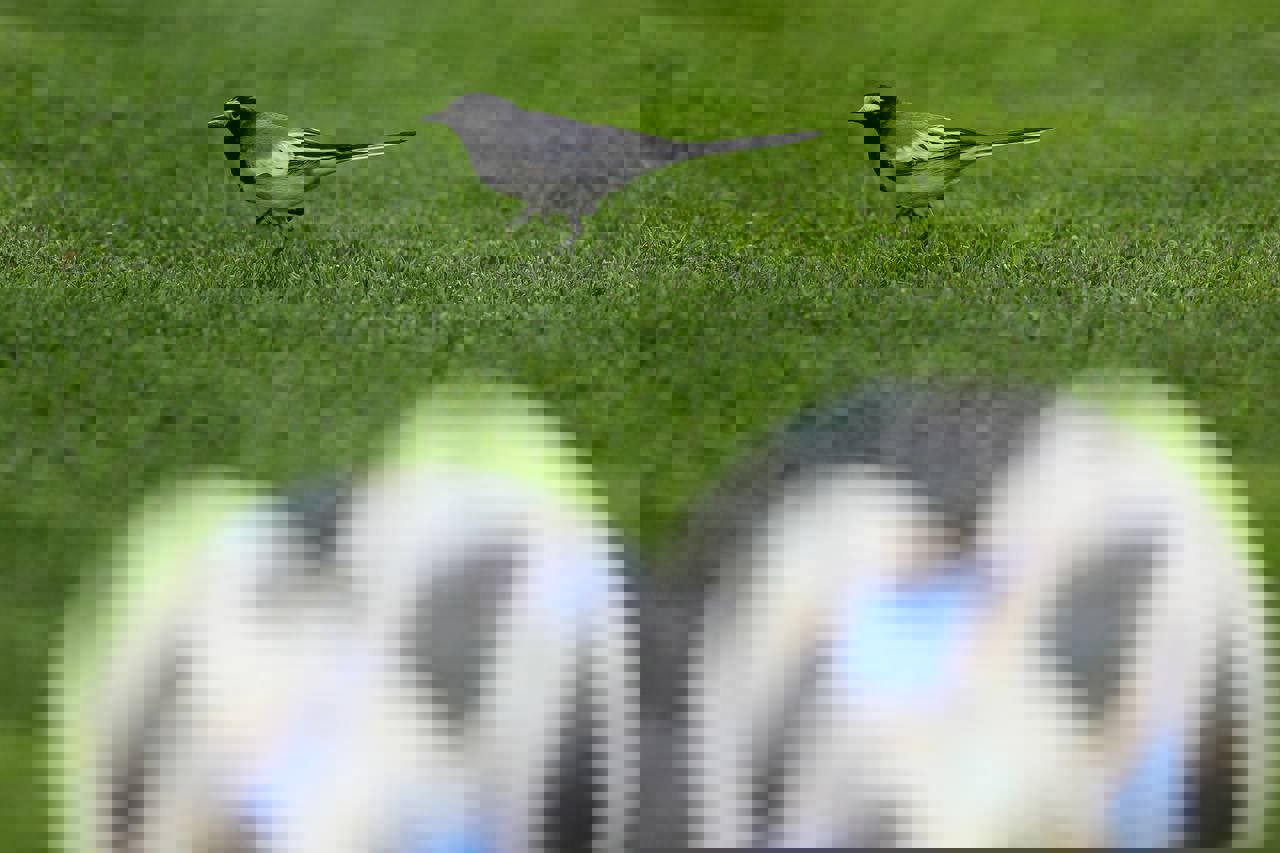 1701567